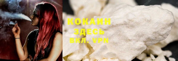 тгк Алексин